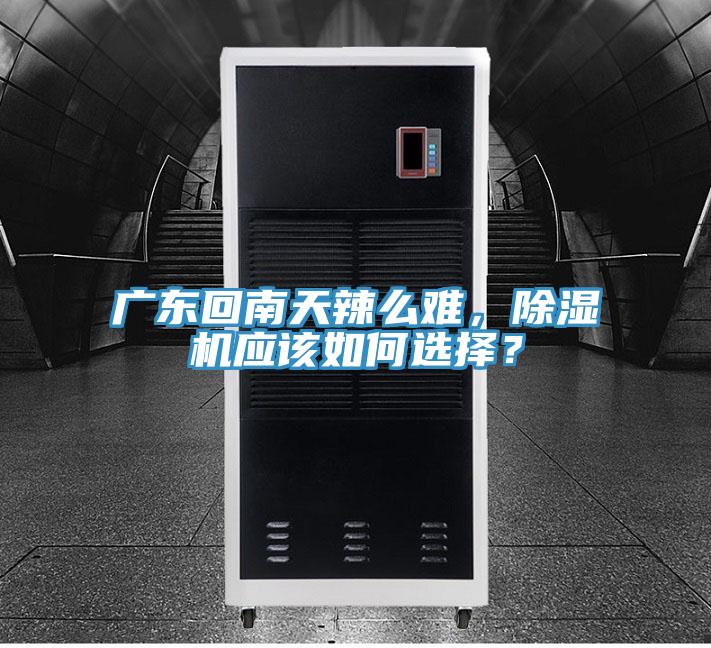 廣東回南天辣麽難，草莓小视频黄色應該如何選擇？