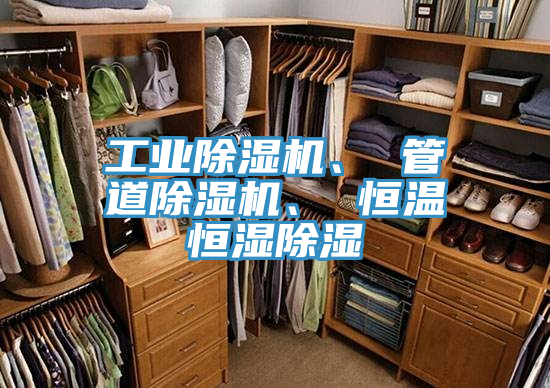 工業草莓小视频黄色、 管道草莓小视频黄色、 恒溫恒濕除濕