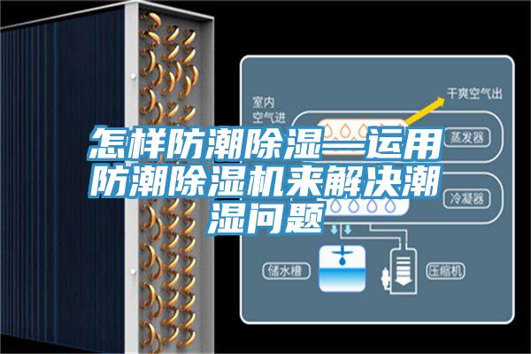 怎樣防潮除濕—運用防潮草莓小视频黄色來解決潮濕問題