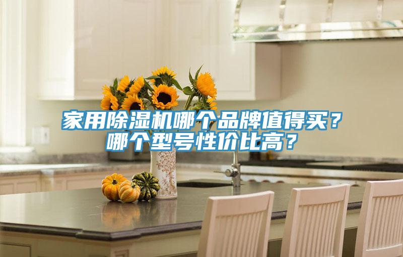 家用草莓小视频黄色哪個品牌值得買？哪個型號性價比高？