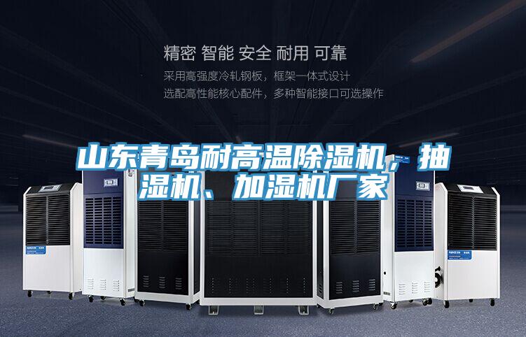 山東青島耐高溫草莓小视频黄色，抽濕機、加濕機廠家