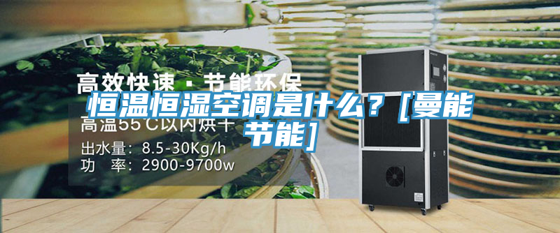 恒溫恒濕空調是什麽？[曼能節能]