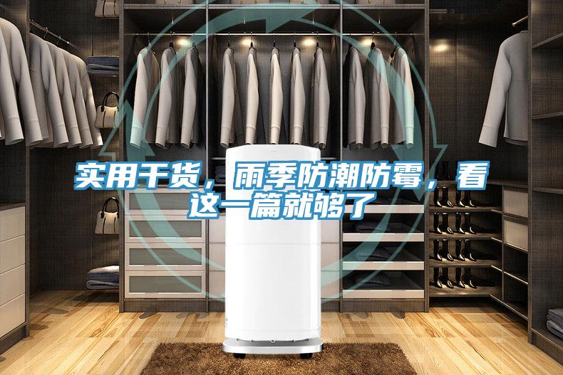 實用幹貨，雨季防潮防黴，看這一篇就夠了