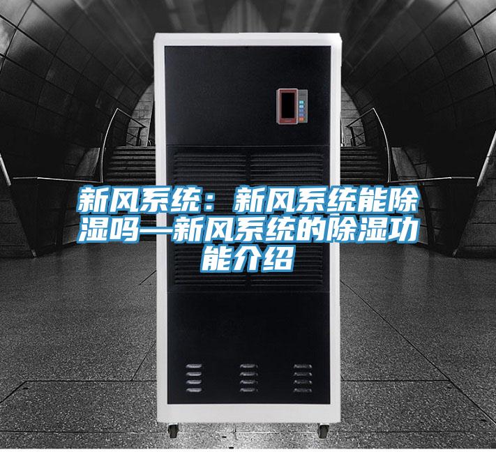 新風係統：新風係統能除濕嗎—新風係統的除濕功能介紹