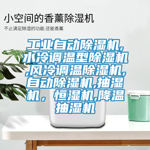 工業自動草莓小视频黄色,水冷調溫型草莓小视频黄色,風冷調溫草莓小视频黄色,自動草莓小视频黄色,抽濕機，恒濕機,降溫抽濕機