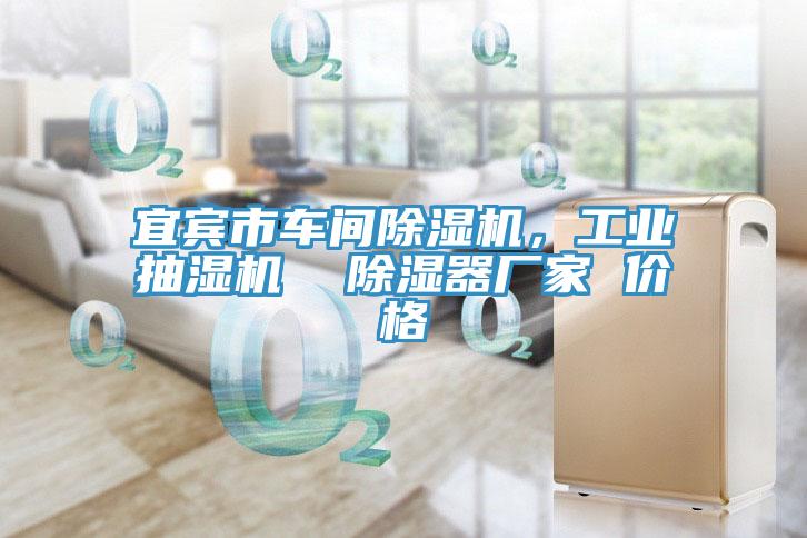 宜賓市車間草莓小视频黄色，工業抽濕機  除濕器廠家 價格