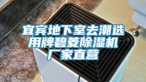 宜賓地下室去潮選用牌碧菱草莓小视频黄色廠家直營