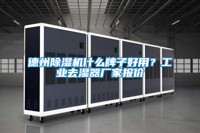 德州草莓小视频黄色什麽牌子好用？工業去濕器廠家報價