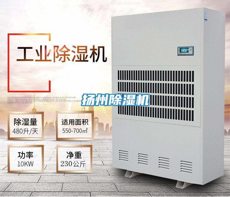 揚州草莓小视频黄色