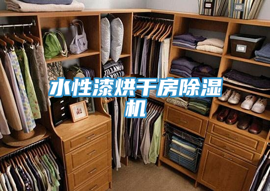 水性漆烘幹房草莓小视频黄色