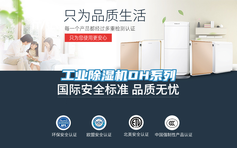 工業草莓小视频黄色DH係列