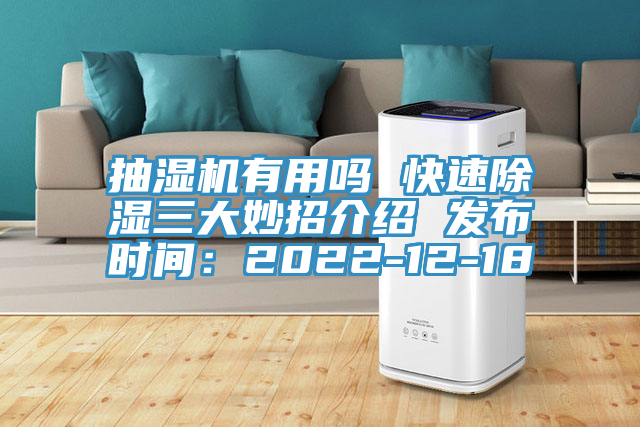 抽濕機有用嗎 快速除濕三大妙招介紹 發布時間：2022-12-18