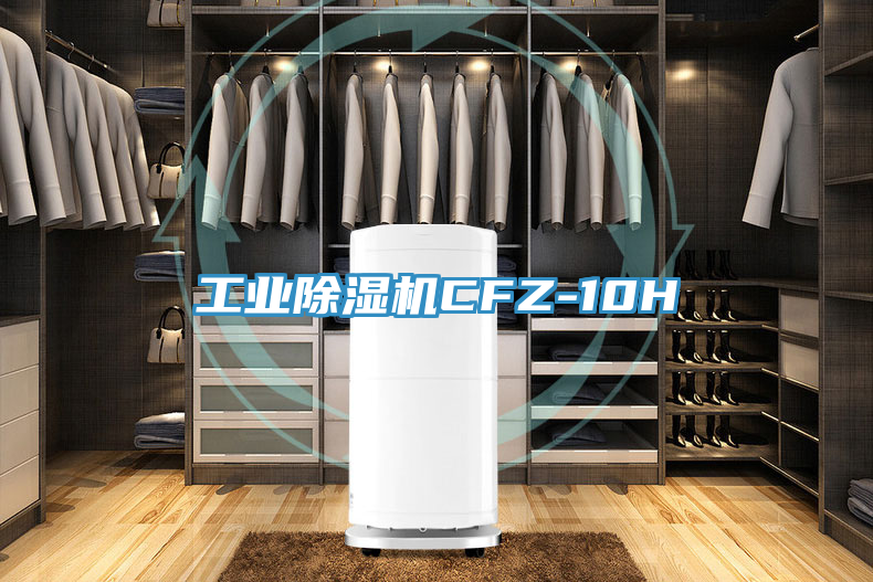 工業草莓小视频黄色CFZ-10H