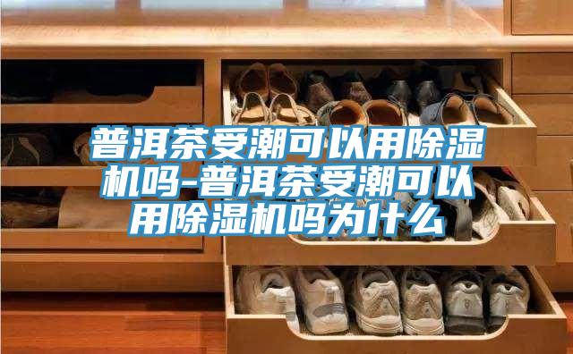 普洱茶受潮可以用草莓小视频黄色嗎-普洱茶受潮可以用草莓小视频黄色嗎為什麽