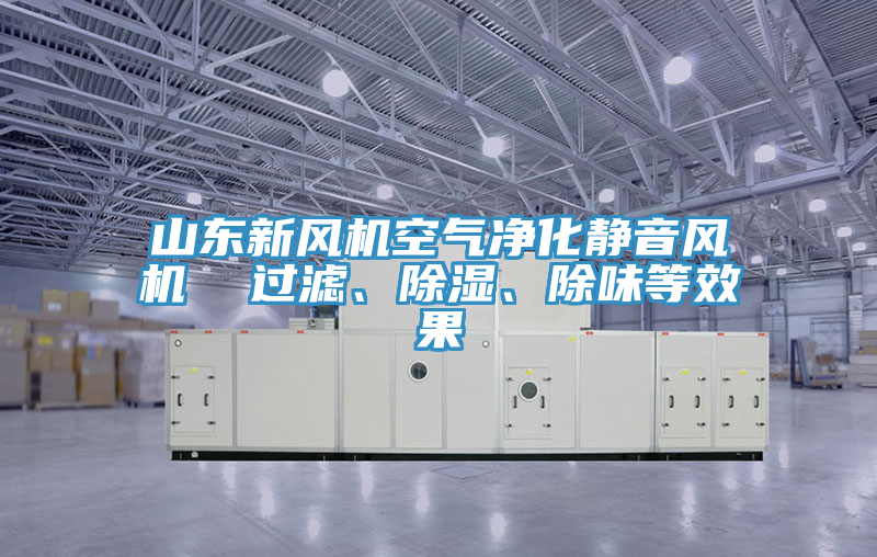 山東新風機空氣淨化靜音風機  過濾、除濕、除味等效果