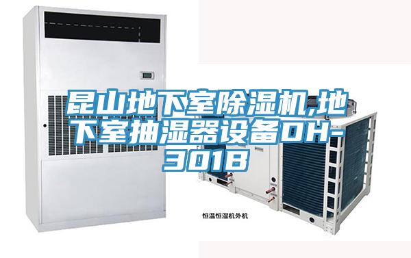 昆山地下室草莓小视频黄色,地下室抽濕器設備DH-301B