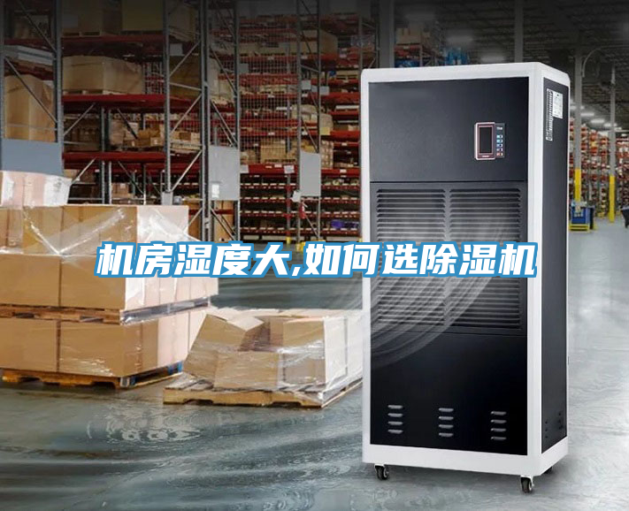 機房濕度大,如何選草莓小视频黄色