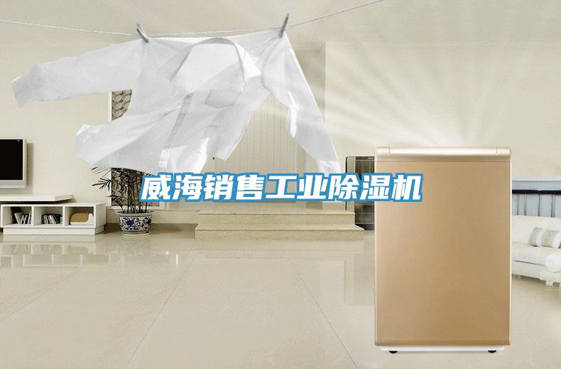 威海銷售工業草莓小视频黄色