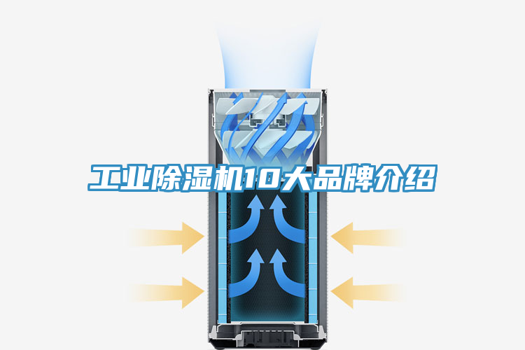 工業草莓小视频黄色10大品牌介紹