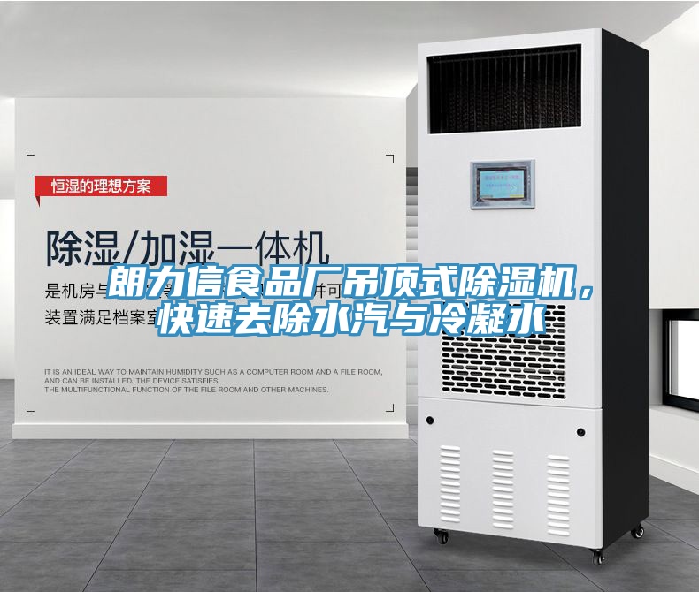 朗力信食品廠吊頂式草莓小视频黄色，快速去除水汽與冷凝水