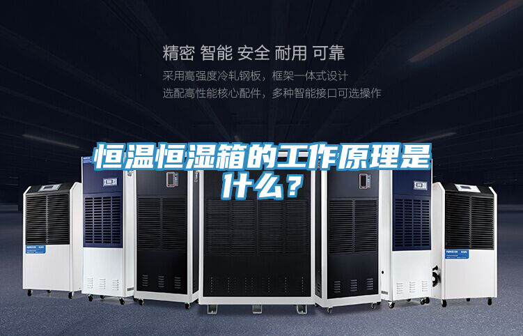 恒溫恒濕箱的工作原理是什麽？