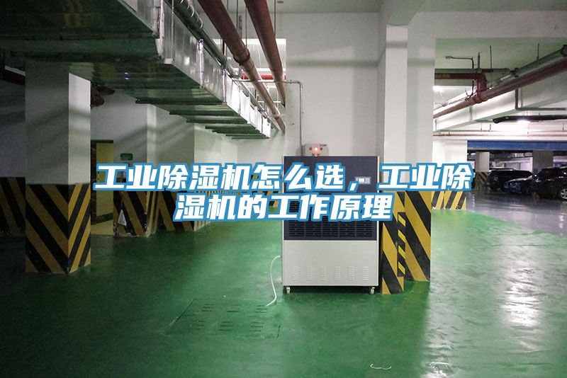 工業草莓小视频黄色怎麽選，工業草莓小视频黄色的工作原理