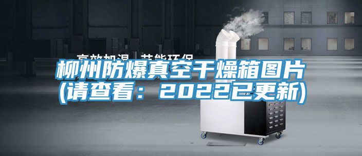 柳州防爆真空幹燥箱圖片(請查看：2022已更新)