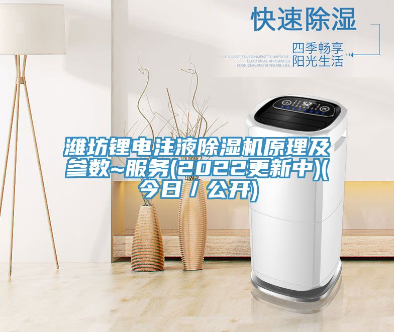 濰坊鋰電注液草莓小视频黄色原理及參數~服務(2022更新中)(今日／公開)