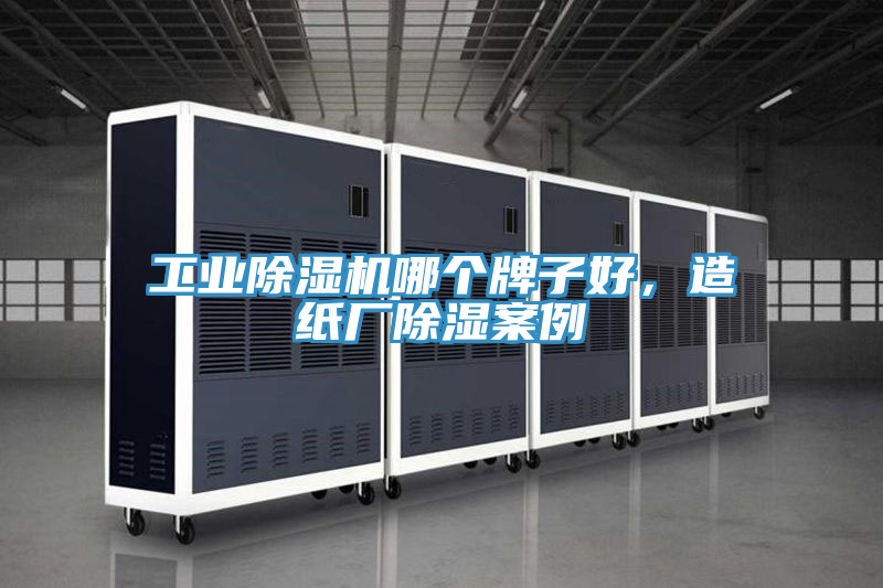 工業草莓小视频黄色哪個牌子好，造紙廠除濕案例