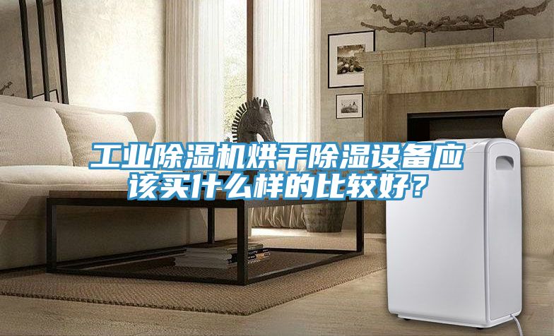 工業草莓小视频黄色烘幹除濕設備應該買什麽樣的比較好？