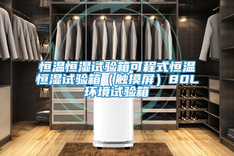 恒溫恒濕試驗箱可程式恒溫恒濕試驗箱(觸摸屏)80L環境試驗箱
