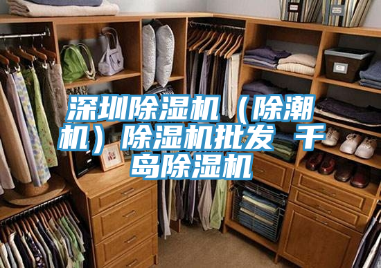 深圳草莓小视频黄色（除潮機）草莓小视频黄色批發 千島草莓小视频黄色