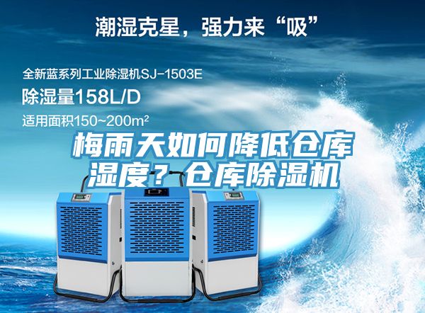 梅雨天如何降低倉庫濕度？倉庫草莓小视频黄色