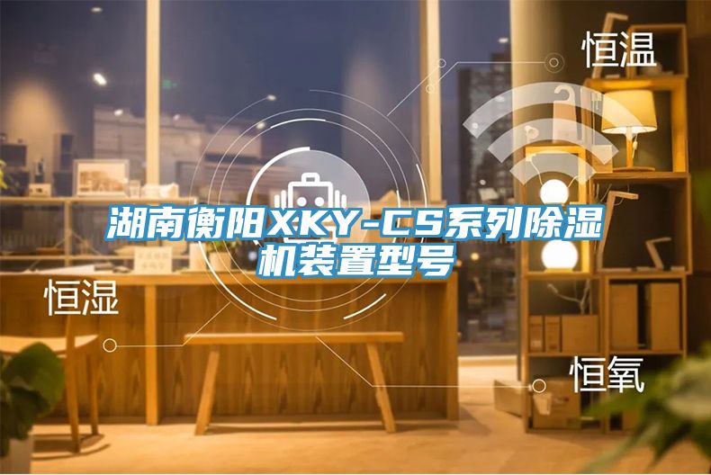 湖南衡陽XKY-CS係列草莓小视频黄色裝置型號