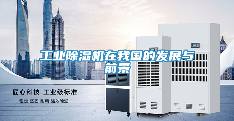 工業草莓小视频黄色在我國的發展與前景