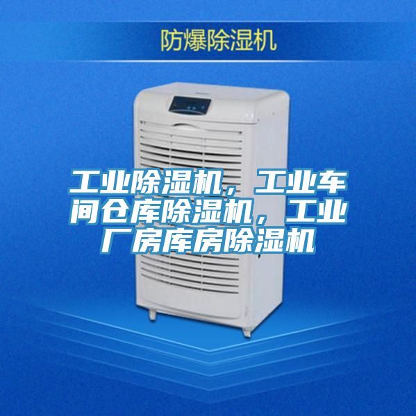 工業草莓小视频黄色，工業車間倉庫草莓小视频黄色，工業廠房庫房草莓小视频黄色