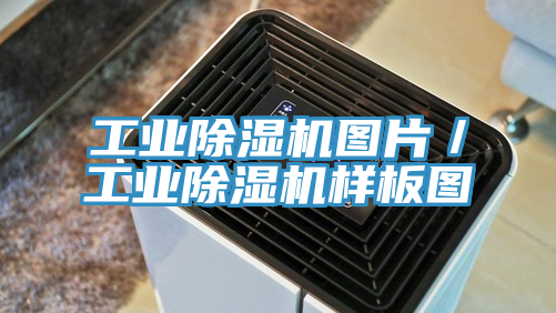 工業草莓小视频黄色圖片／工業草莓小视频黄色樣板圖