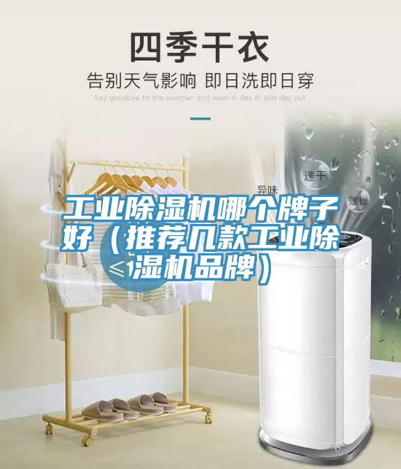 工業草莓小视频黄色哪個牌子好(推薦幾款工業草莓小视频黄色品牌)