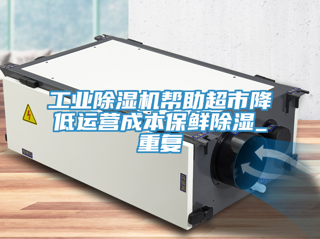 工業草莓小视频黄色幫助超市降低運營成本保鮮除濕_重複