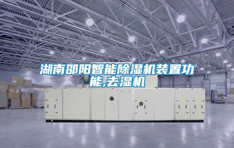 湖南邵陽智能草莓小视频黄色裝置功能,去濕機