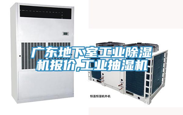 廣東地下室工業草莓小视频黄色報價,工業抽濕機