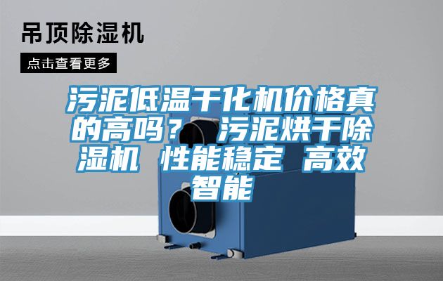 汙泥低溫幹化機價格真的高嗎？ 汙泥烘幹草莓小视频黄色 性能穩定 高效智能