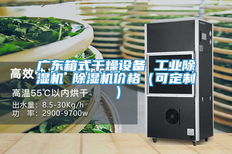 廣東箱式幹燥設備 工業草莓小视频黄色 草莓小视频黄色價格（可定製）