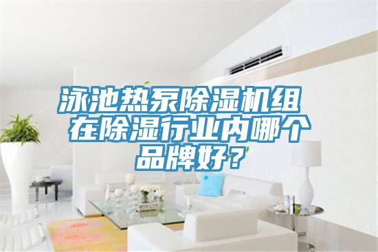 泳池熱泵草莓小视频黄色組 在除濕行業內哪個品牌好？