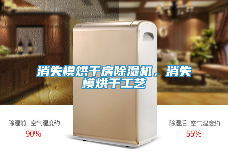 消失模烘幹房草莓小视频黄色，消失模烘幹工藝