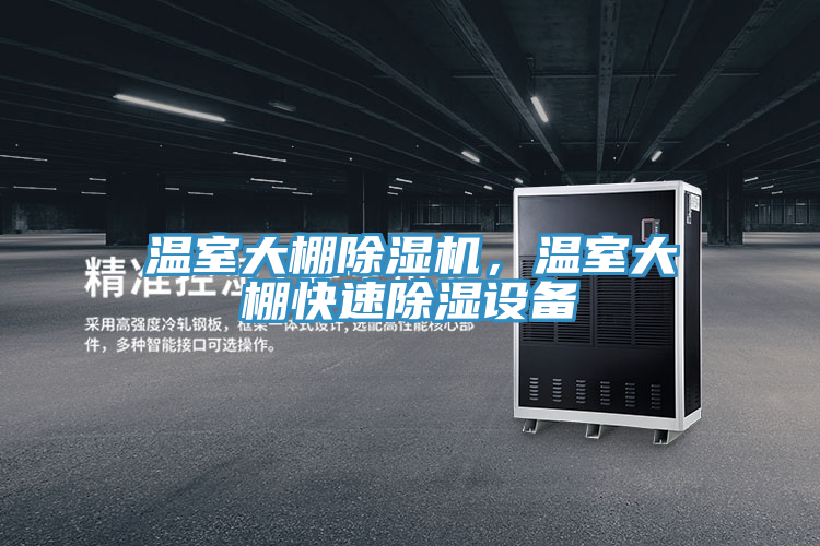 溫室大棚草莓小视频黄色，溫室大棚快速除濕設備