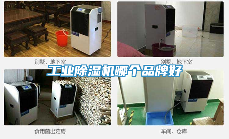 工業草莓小视频黄色哪個品牌好