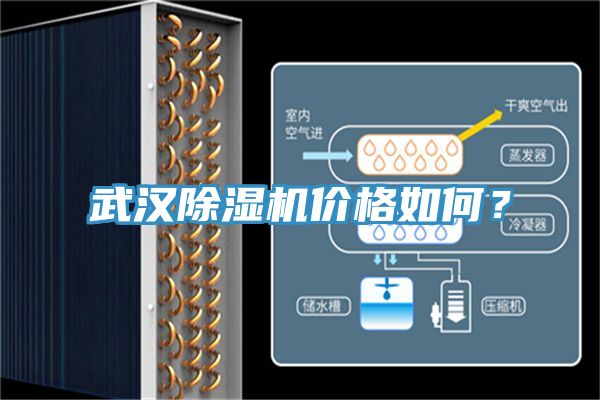 武漢草莓小视频黄色價格如何？