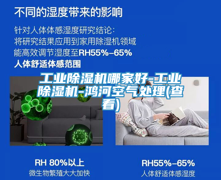 工業草莓小视频黄色哪家好-工業草莓小视频黄色-鴻河空氣處理(查看)