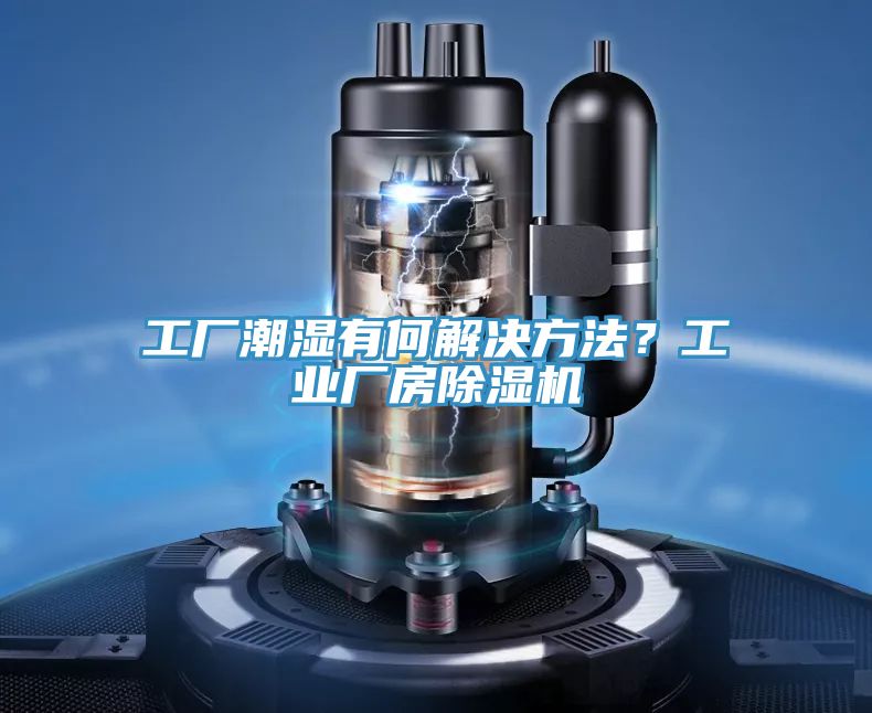 工廠潮濕有何解決方法？工業廠房草莓小视频黄色